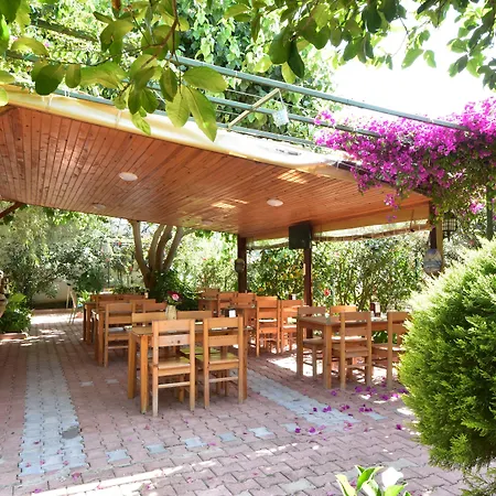 Lemon Garden 3*