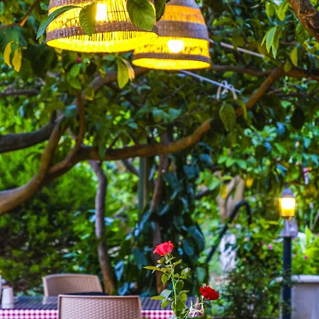 Lemon Garden Bed and Breakfast Çıralı