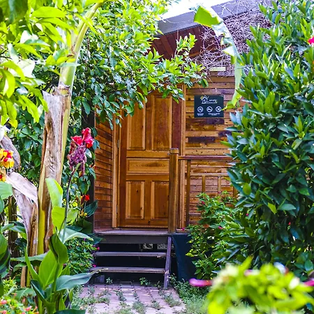 Lemon Garden 3* Çıralı