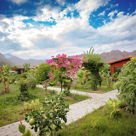 Bed & Breakfast Lemon Garden