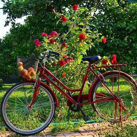 Lemon Garden Çıralı