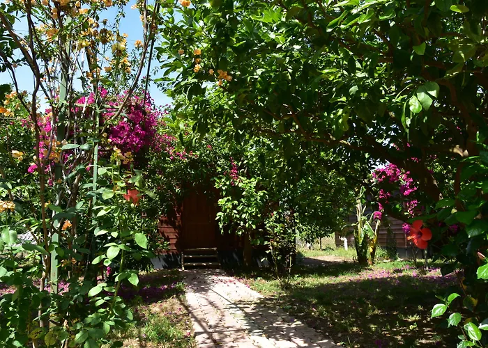 Lemon Garden Çıralı