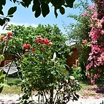 Lemon Garden 3* Çıralı