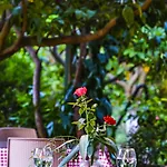 Lemon Garden 住宿加早餐酒店 Çıralı