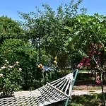 Lemon Garden