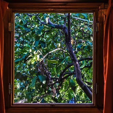 Lemon Garden Bed and breakfast Çıralı