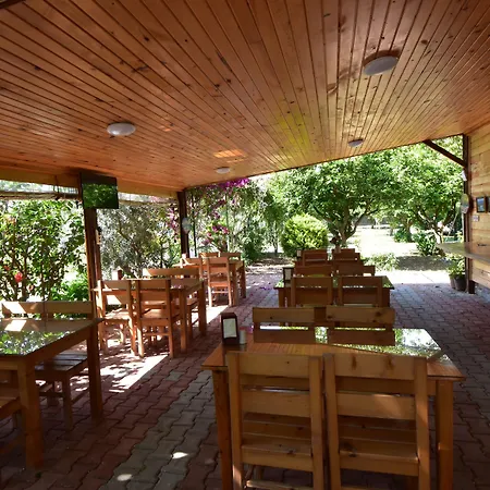 Bed and breakfast Lemon Garden Çıralı
