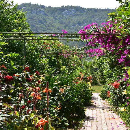 Lemon Garden Bed and breakfast Çıralı