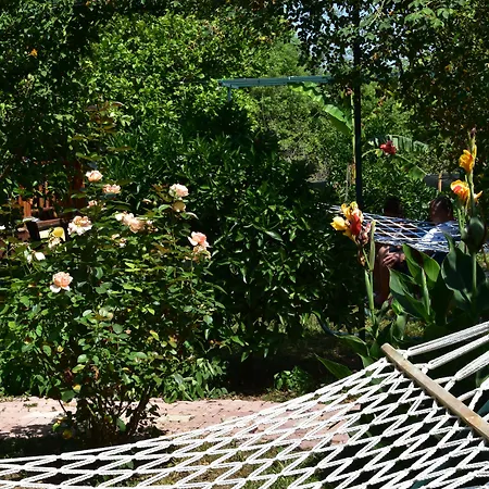 Bed and breakfast Lemon Garden
