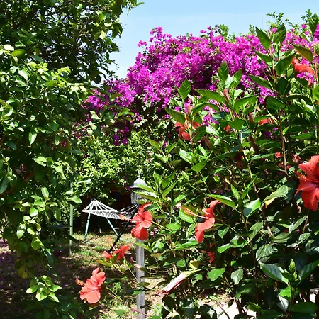 Lemon Garden Bed and breakfast 3*