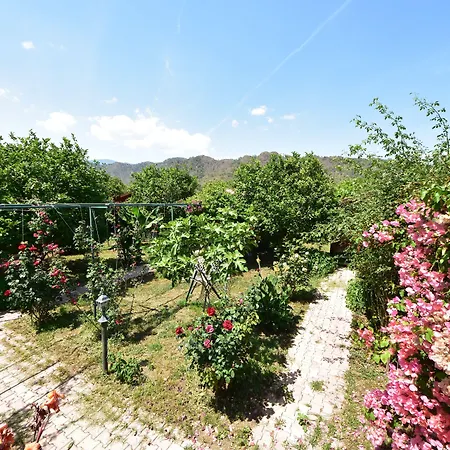 Bed and breakfast Lemon Garden