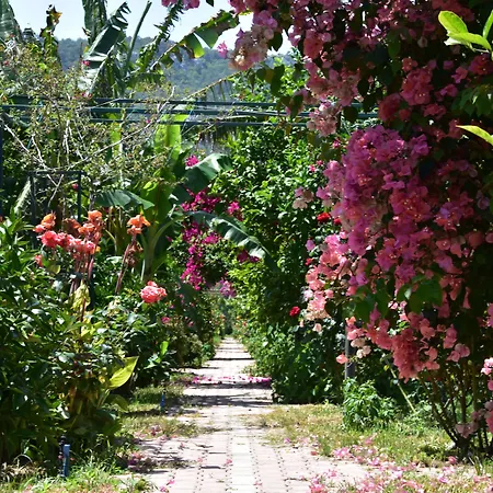 Lemon Garden Bed and breakfast 3*