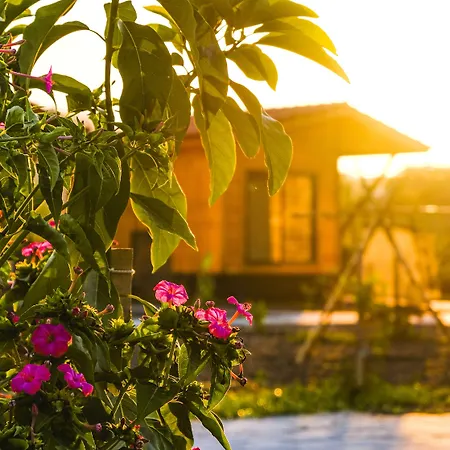 Lemon Garden Bed and breakfast Çıralı