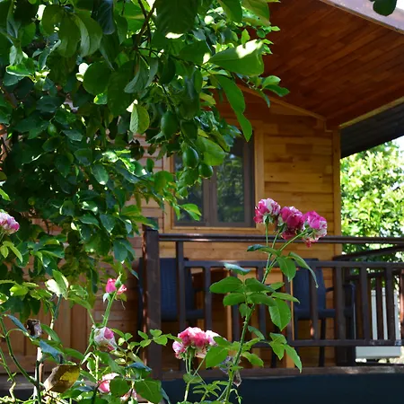 Lemon Garden 3*