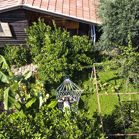 Lemon Garden Bed and breakfast Çıralı
