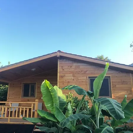 Lemon Garden Bed and breakfast
