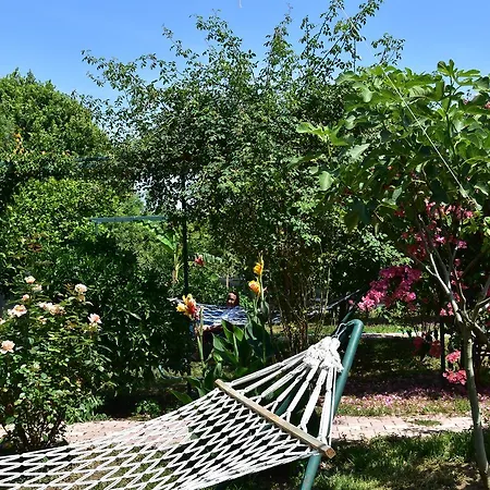 Lemon Garden