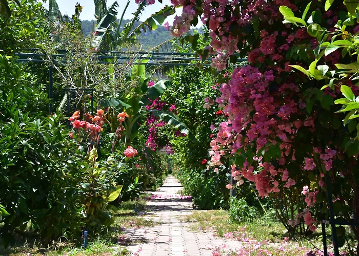 Lemon Garden Bed & Breakfast 3*